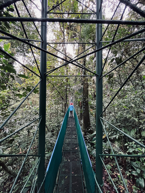 Heliconias suspension bridge in rainforest of Bijagua de Upala