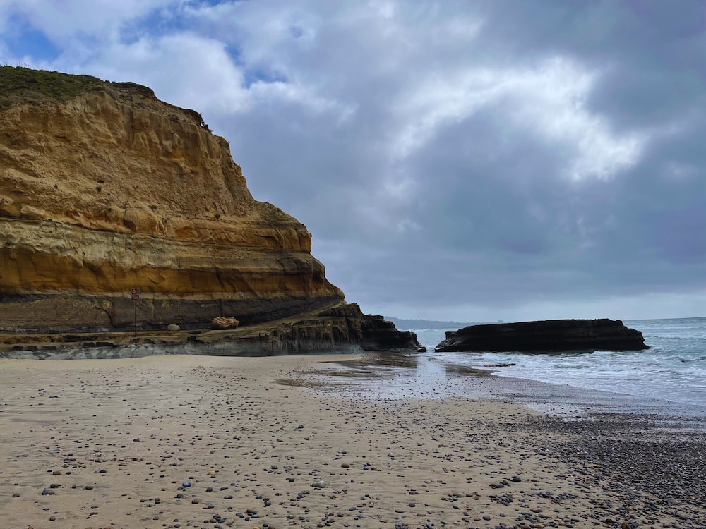 Torrey Pines National Reserve Beach with Cliffs