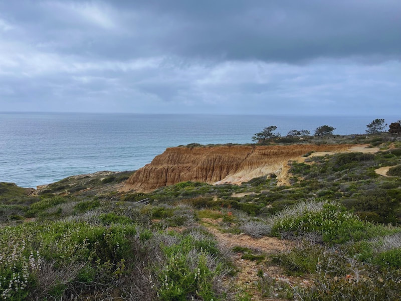 Cliff view of Torrey Pines National Reserve