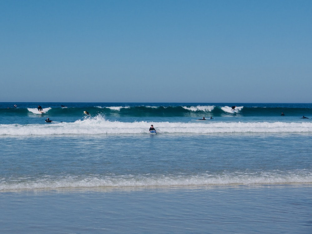 surfing at La Jolla Shores in February